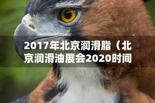 2017年北京润滑脂（北京润滑油展会2020时间表）